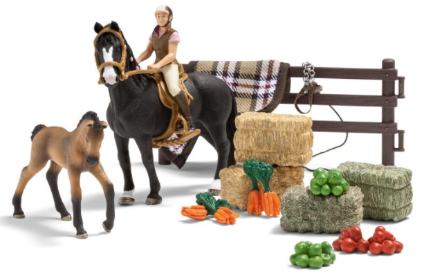 My First Horse Show